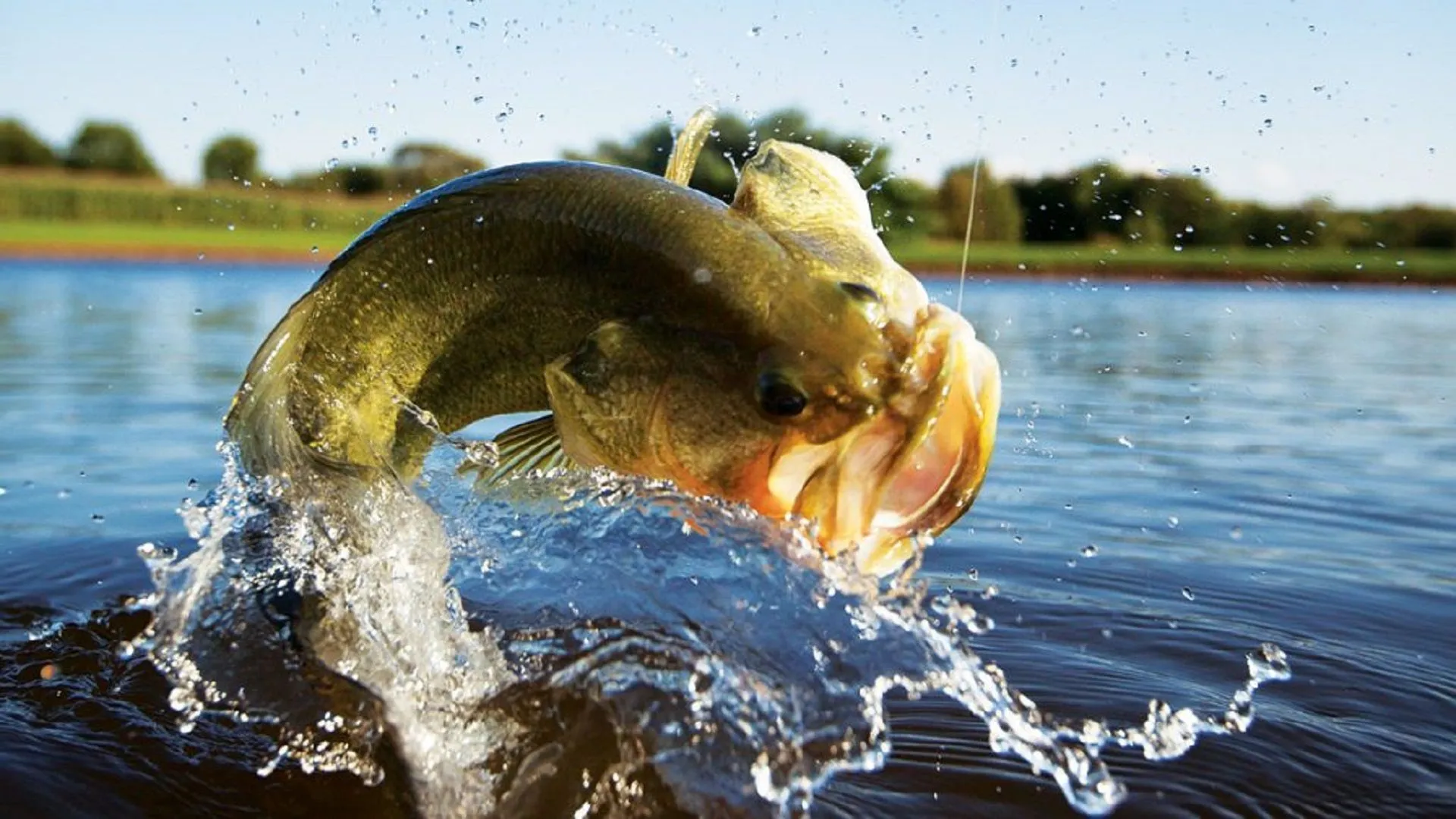 Bass fishing on a quiet lake